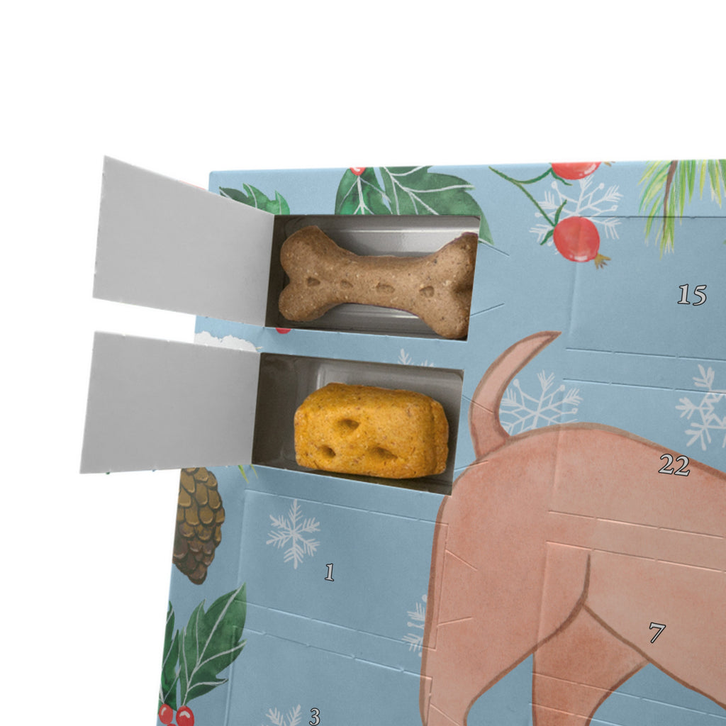 Personalisierter Hunde Adventskalender Dackel Kurzhaardackel Moment Hunde Adventskalender, Hund, Hunderasse, Rassehund, Hundebesitzer, Geschenk, Tierfreund, Schenken, Welpe, Teckel, Dachshund, Kurzhaardackel