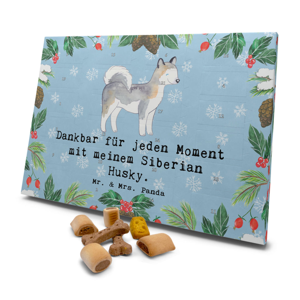 Hunde Adventskalender Siberian Husky Moment Hunde Adventskalender, Weihnachtskalender, Kalender, Weihnachten, Adventskalender für Hunde, Hund, Hunderasse, Rassehund, Hundebesitzer, Geschenk, Tierfreund, Schenken, Welpe, Siberian Husky