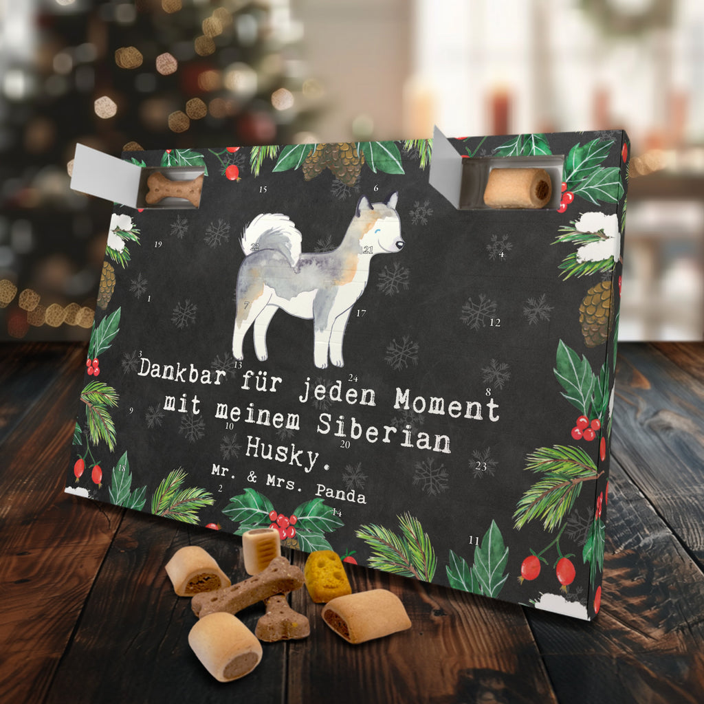 Hunde Adventskalender Siberian Husky Moment Hunde Adventskalender, Weihnachtskalender, Kalender, Weihnachten, Adventskalender für Hunde, Hund, Hunderasse, Rassehund, Hundebesitzer, Geschenk, Tierfreund, Schenken, Welpe, Siberian Husky