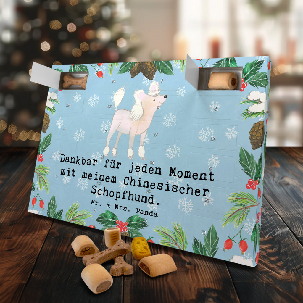 Hunde Adventskalender Chinesischer Schopfhund Moment Hunde Adventskalender, Weihnachtskalender, Kalender, Weihnachten, Adventskalender für Hunde, Hund, Hunderasse, Rassehund, Hundebesitzer, Geschenk, Tierfreund, Schenken, Welpe, Chinesischer Schopfhund, Chinese Crested Dog