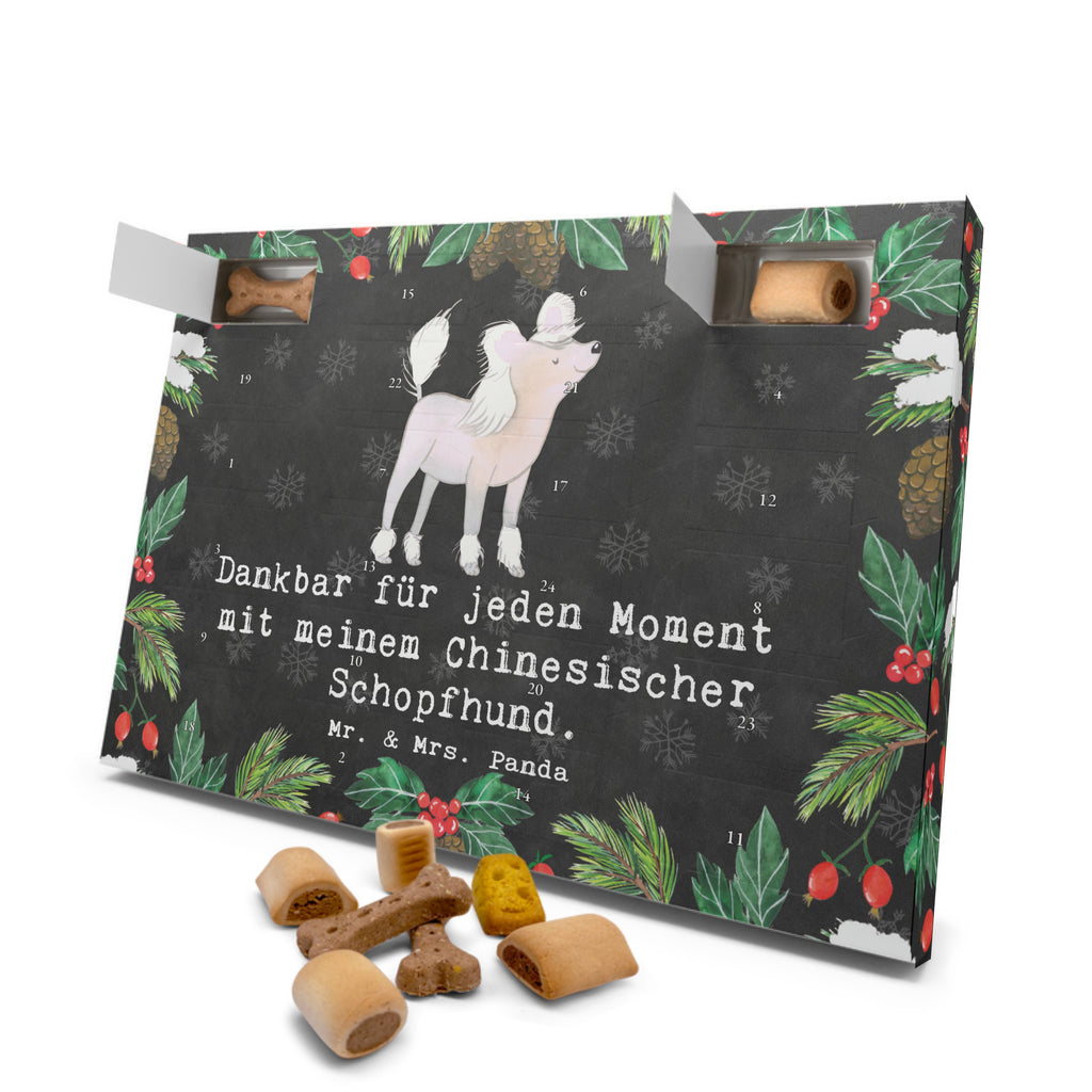 Hunde Adventskalender Chinesischer Schopfhund Moment Hunde Adventskalender, Weihnachtskalender, Kalender, Weihnachten, Adventskalender für Hunde, Hund, Hunderasse, Rassehund, Hundebesitzer, Geschenk, Tierfreund, Schenken, Welpe, Chinesischer Schopfhund, Chinese Crested Dog