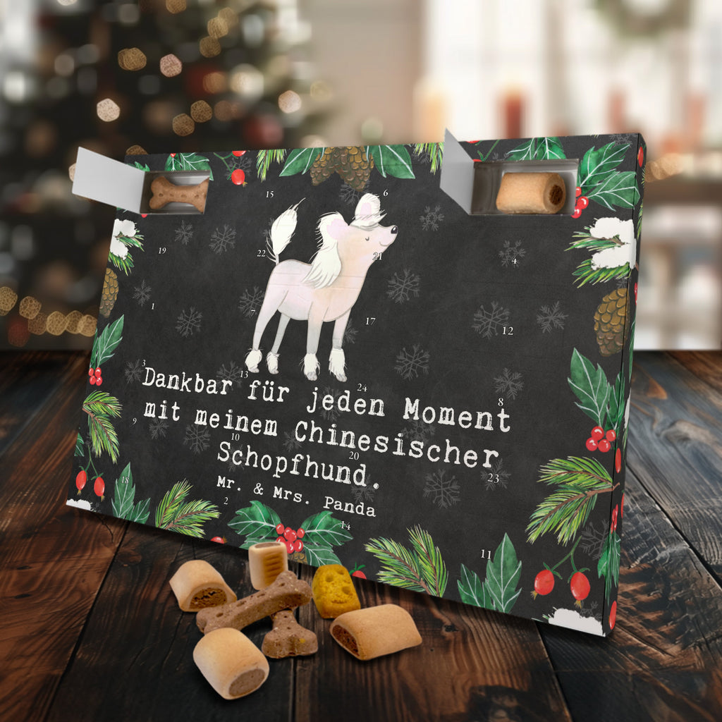 Hunde Adventskalender Chinesischer Schopfhund Moment Hunde Adventskalender, Weihnachtskalender, Kalender, Weihnachten, Adventskalender für Hunde, Hund, Hunderasse, Rassehund, Hundebesitzer, Geschenk, Tierfreund, Schenken, Welpe, Chinesischer Schopfhund, Chinese Crested Dog