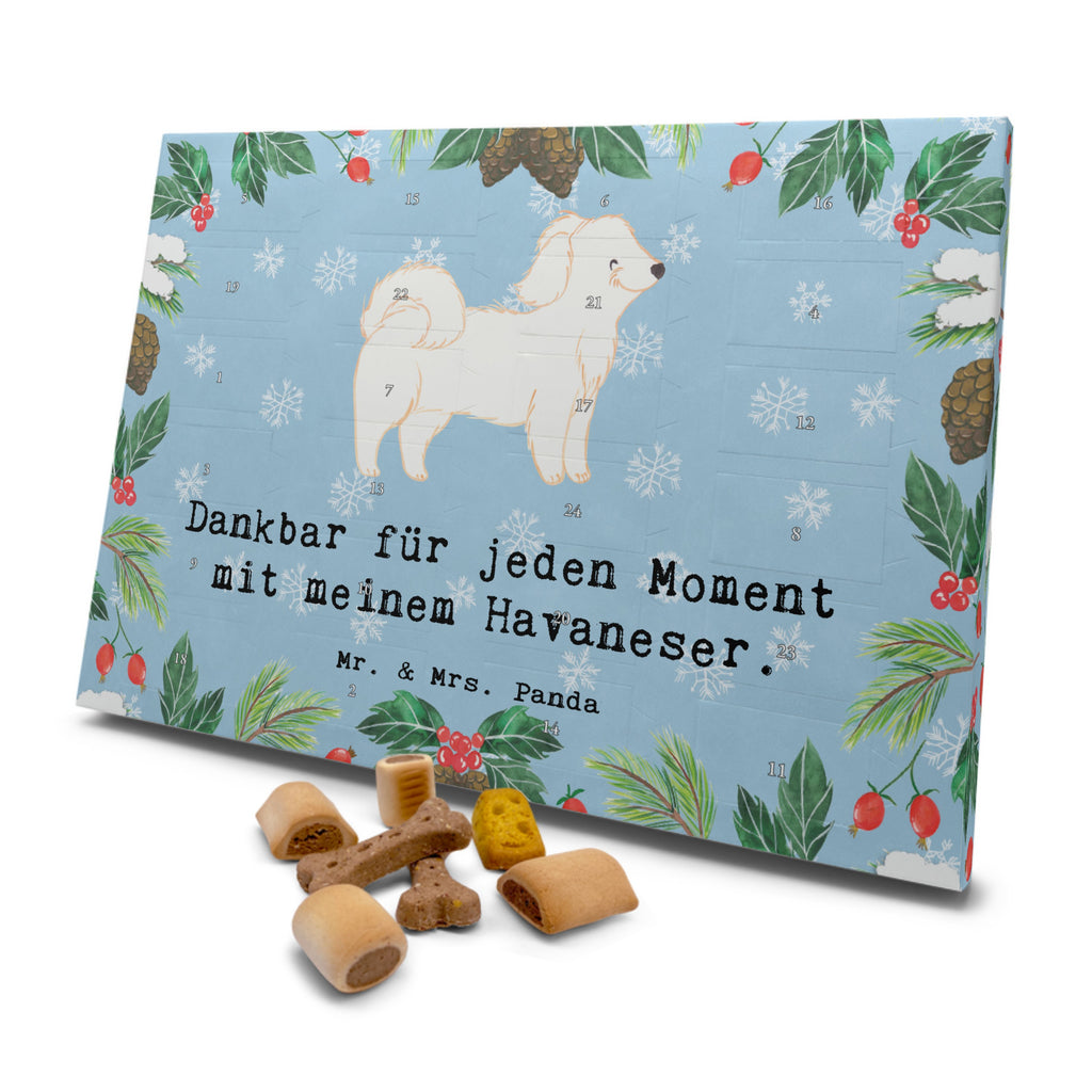 Hunde Adventskalender Havaneser Moment Hunde Adventskalender, Weihnachtskalender, Kalender, Weihnachten, Adventskalender für Hunde, Hund, Hunderasse, Rassehund, Hundebesitzer, Geschenk, Tierfreund, Schenken, Welpe, Havaneser, Havi, Bichon Havanais, Bichón Habanero