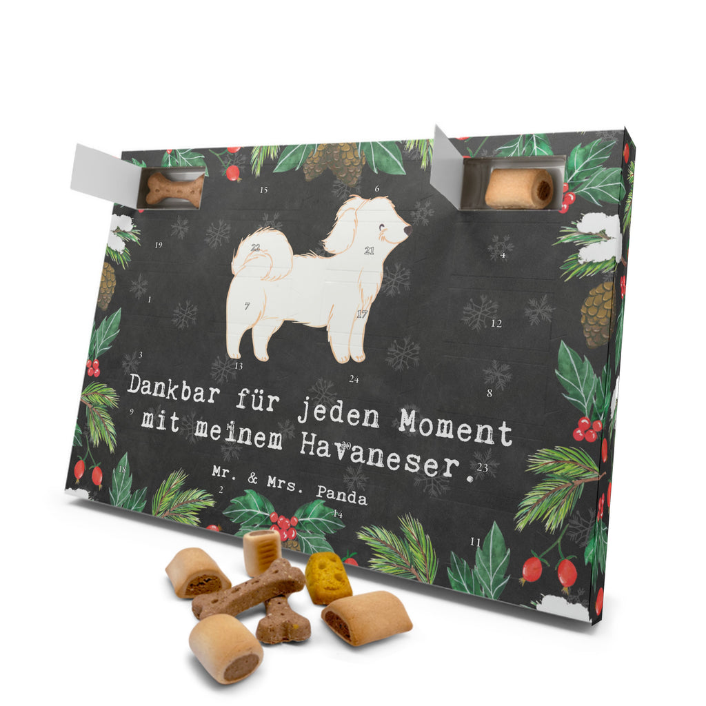 Hunde Adventskalender Havaneser Moment Hunde Adventskalender, Weihnachtskalender, Kalender, Weihnachten, Adventskalender für Hunde, Hund, Hunderasse, Rassehund, Hundebesitzer, Geschenk, Tierfreund, Schenken, Welpe, Havaneser, Havi, Bichon Havanais, Bichón Habanero