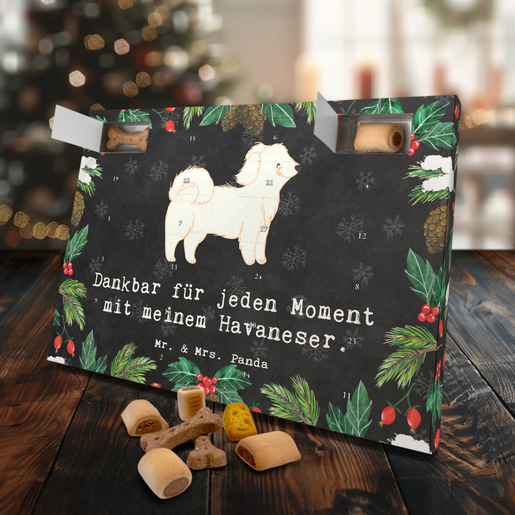 Hunde Adventskalender Havaneser Moment Hunde Adventskalender, Weihnachtskalender, Kalender, Weihnachten, Adventskalender für Hunde, Hund, Hunderasse, Rassehund, Hundebesitzer, Geschenk, Tierfreund, Schenken, Welpe, Havaneser, Havi, Bichon Havanais, Bichón Habanero