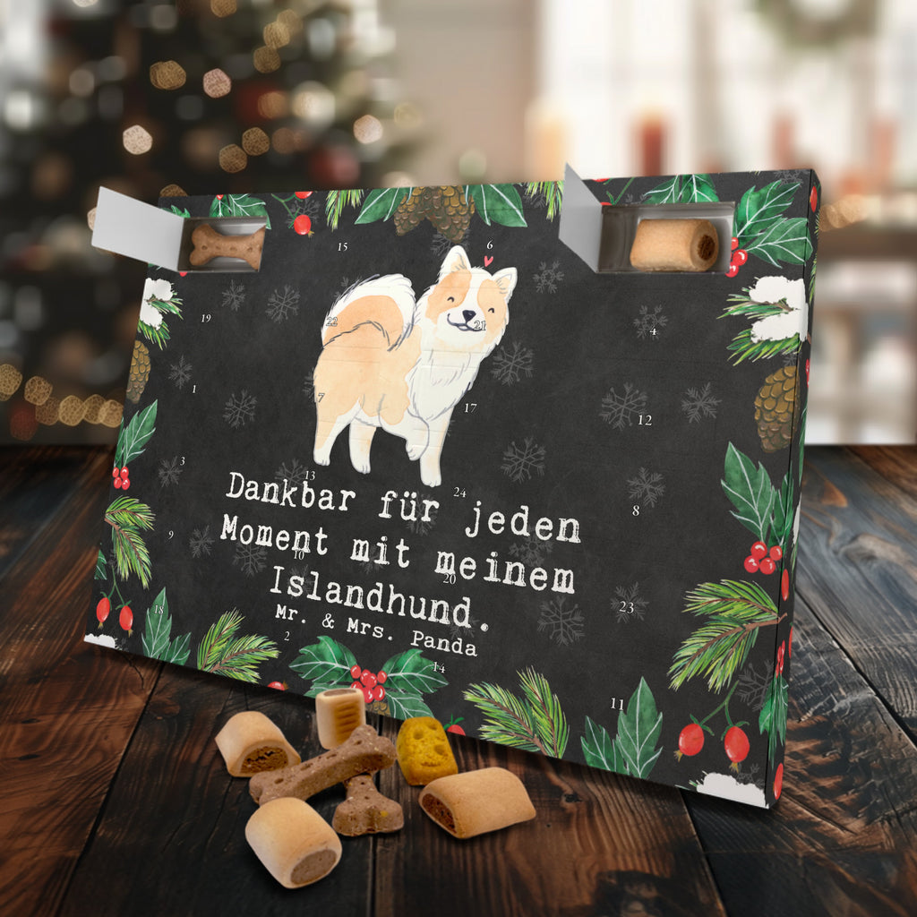 Hunde Adventskalender Islandhund Moment Hunde Adventskalender, Weihnachtskalender, Kalender, Weihnachten, Adventskalender für Hunde, Hund, Hunderasse, Rassehund, Hundebesitzer, Geschenk, Tierfreund, Schenken, Welpe, Islandhund, isländischer Schäferhund