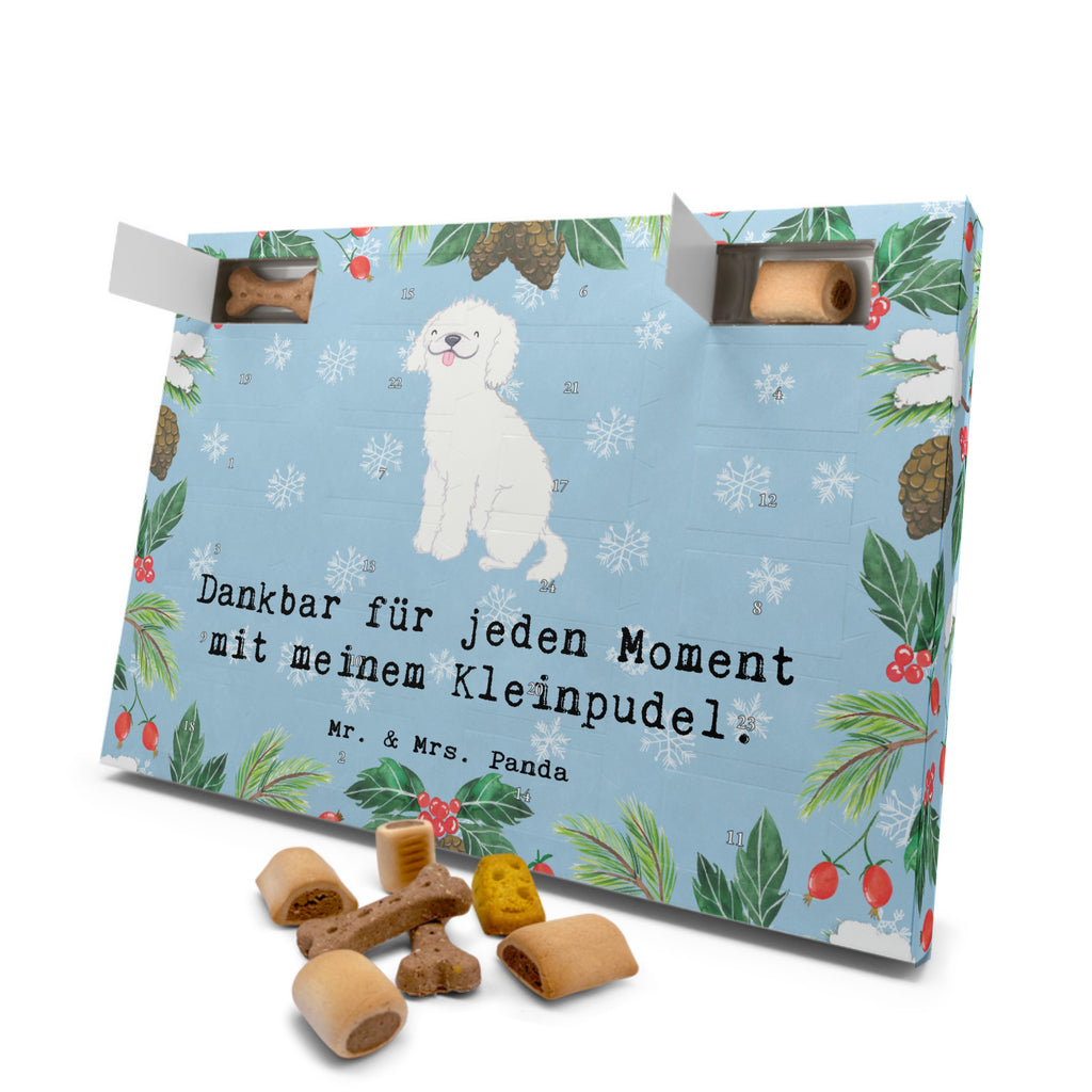 Hunde Adventskalender Kleinpudel Moment Hunde Adventskalender, Weihnachtskalender, Kalender, Weihnachten, Adventskalender für Hunde, Hund, Hunderasse, Rassehund, Hundebesitzer, Geschenk, Tierfreund, Schenken, Welpe, Pudel, Kleinpudel