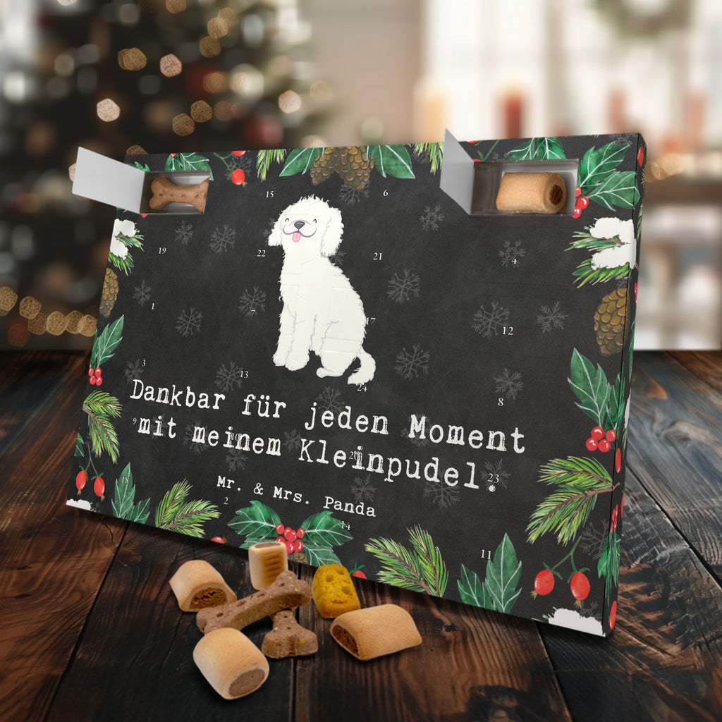 Hunde Adventskalender Kleinpudel Moment Hunde Adventskalender, Weihnachtskalender, Kalender, Weihnachten, Adventskalender für Hunde, Hund, Hunderasse, Rassehund, Hundebesitzer, Geschenk, Tierfreund, Schenken, Welpe, Pudel, Kleinpudel