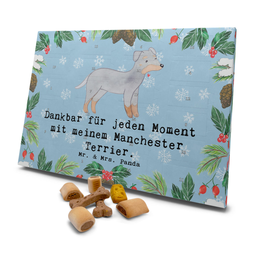 Hunde Adventskalender Manchester Terrier Moment Hunde Adventskalender, Weihnachtskalender, Kalender, Weihnachten, Adventskalender für Hunde, Hund, Hunderasse, Rassehund, Hundebesitzer, Geschenk, Tierfreund, Schenken, Welpe, Manchester Terrier