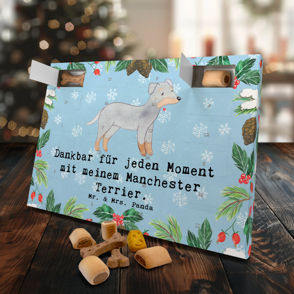 Hunde Adventskalender Manchester Terrier Moment Hunde Adventskalender, Weihnachtskalender, Kalender, Weihnachten, Adventskalender für Hunde, Hund, Hunderasse, Rassehund, Hundebesitzer, Geschenk, Tierfreund, Schenken, Welpe, Manchester Terrier