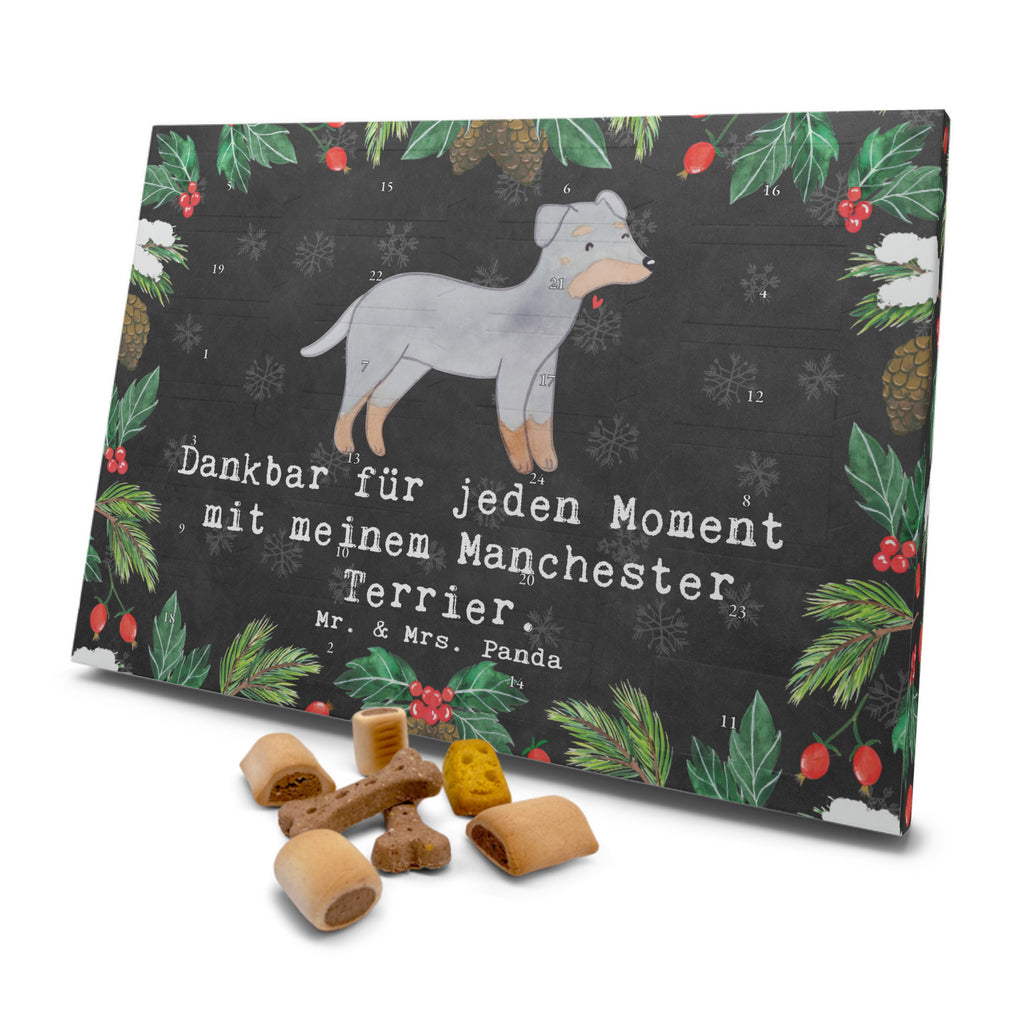 Hunde Adventskalender Manchester Terrier Moment Hunde Adventskalender, Weihnachtskalender, Kalender, Weihnachten, Adventskalender für Hunde, Hund, Hunderasse, Rassehund, Hundebesitzer, Geschenk, Tierfreund, Schenken, Welpe, Manchester Terrier