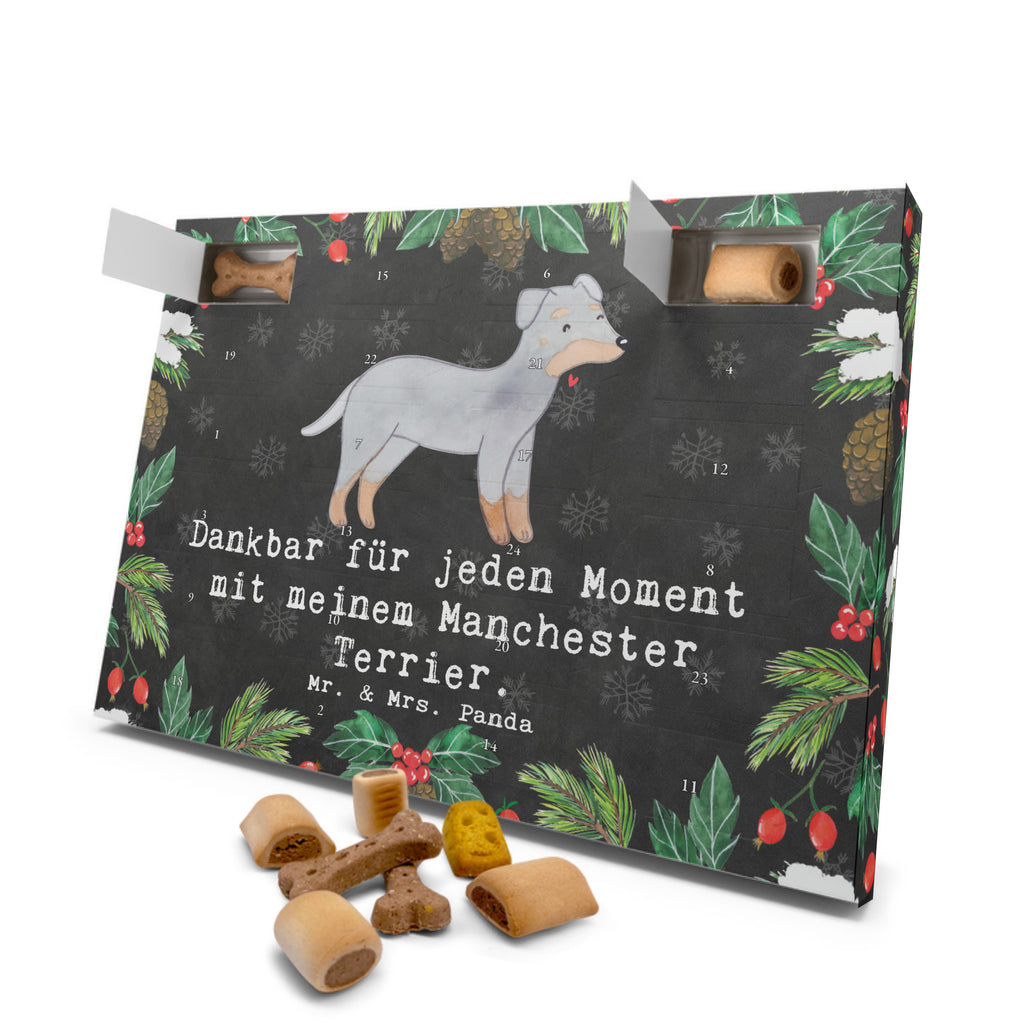 Hunde Adventskalender Manchester Terrier Moment Hunde Adventskalender, Weihnachtskalender, Kalender, Weihnachten, Adventskalender für Hunde, Hund, Hunderasse, Rassehund, Hundebesitzer, Geschenk, Tierfreund, Schenken, Welpe, Manchester Terrier