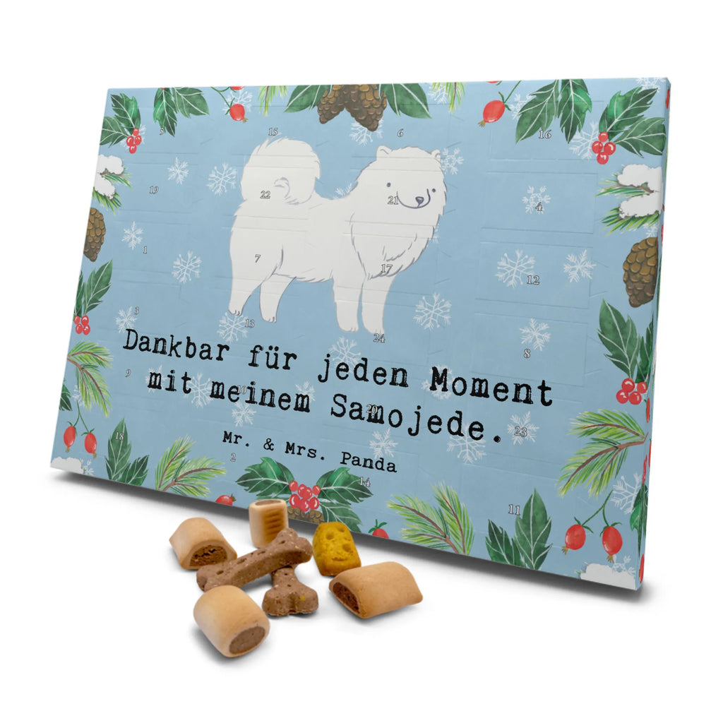 Hunde Adventskalender Samojede Moment Hunde Adventskalender, Weihnachtskalender, Kalender, Weihnachten, Adventskalender für Hunde, Hund, Hunderasse, Rassehund, Hundebesitzer, Geschenk, Tierfreund, Schenken, Welpe, Samojede, Samojedenhund, Samojedenspitz