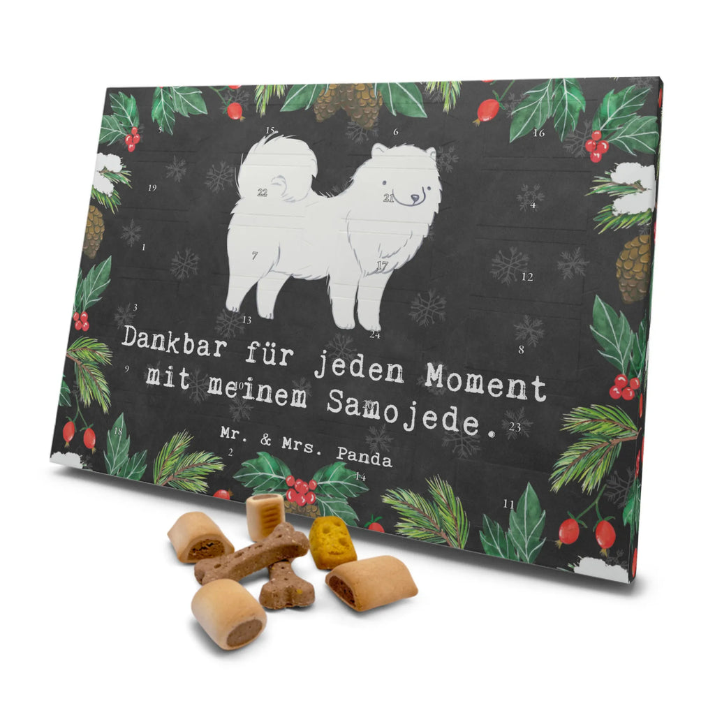 Hunde Adventskalender Samojede Moment Hunde Adventskalender, Weihnachtskalender, Kalender, Weihnachten, Adventskalender für Hunde, Hund, Hunderasse, Rassehund, Hundebesitzer, Geschenk, Tierfreund, Schenken, Welpe, Samojede, Samojedenhund, Samojedenspitz