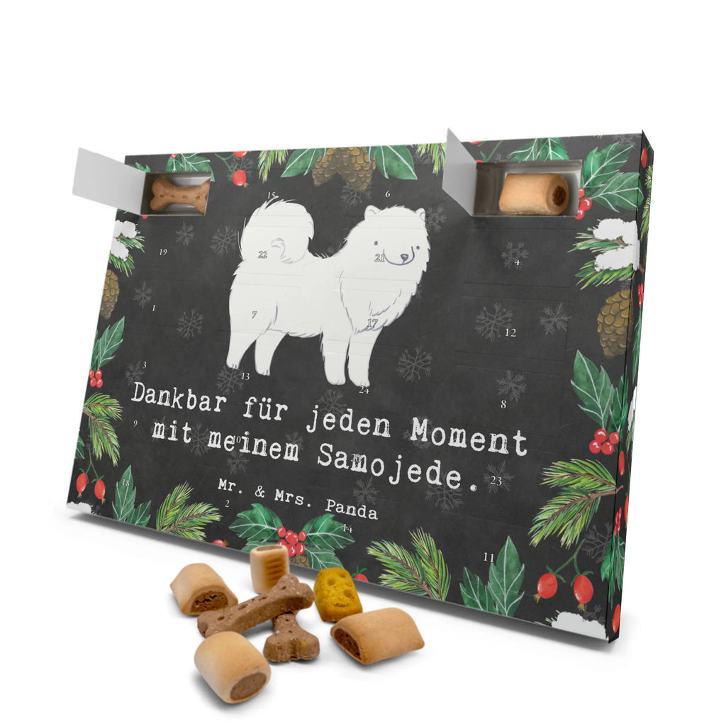 Hunde Adventskalender Samojede Moment Hunde Adventskalender, Weihnachtskalender, Kalender, Weihnachten, Adventskalender für Hunde, Hund, Hunderasse, Rassehund, Hundebesitzer, Geschenk, Tierfreund, Schenken, Welpe, Samojede, Samojedenhund, Samojedenspitz