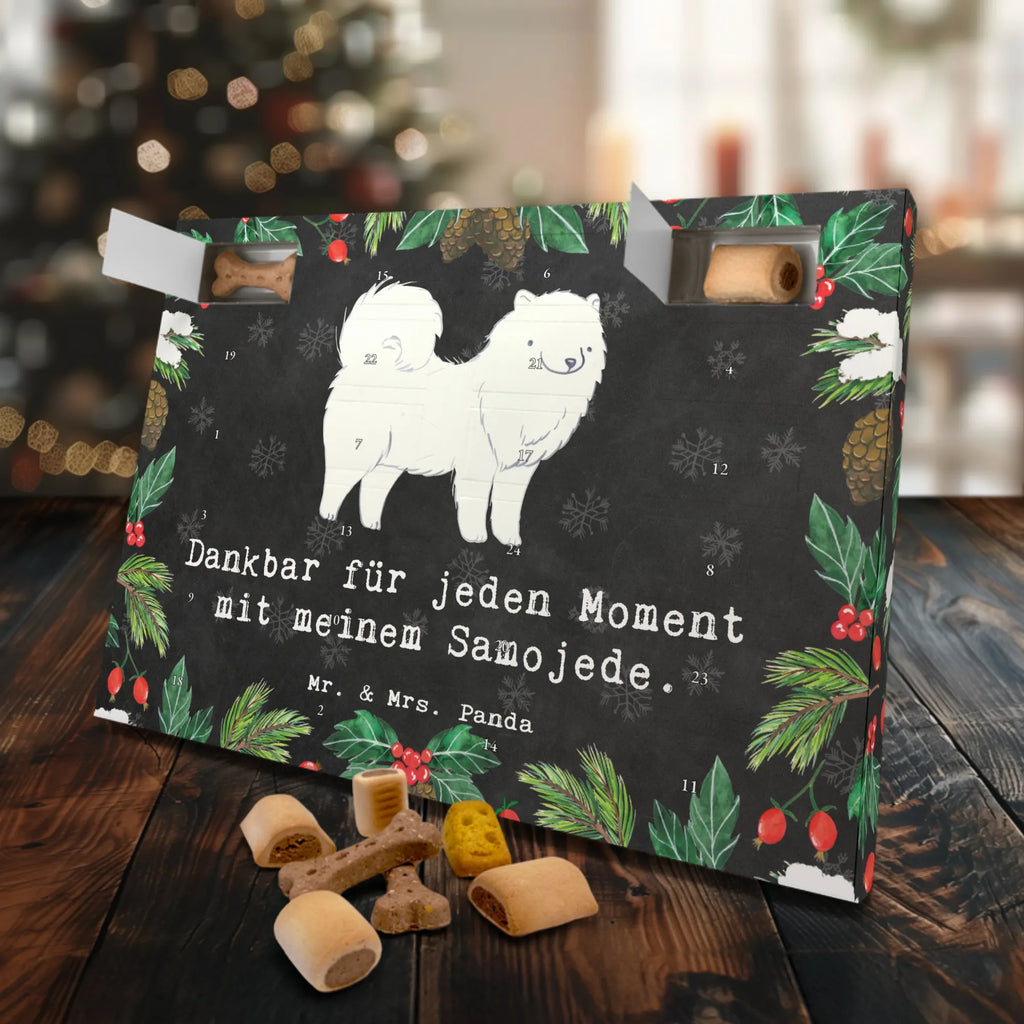 Hunde Adventskalender Samojede Moment Hunde Adventskalender, Weihnachtskalender, Kalender, Weihnachten, Adventskalender für Hunde, Hund, Hunderasse, Rassehund, Hundebesitzer, Geschenk, Tierfreund, Schenken, Welpe, Samojede, Samojedenhund, Samojedenspitz