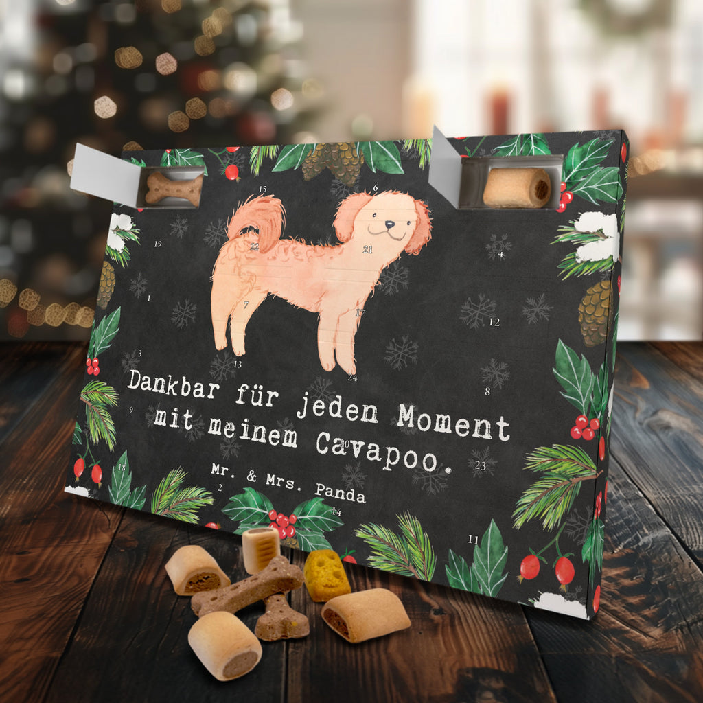 Hunde Adventskalender Cavapoo Moment Hunde Adventskalender, Weihnachtskalender, Kalender, Weihnachten, Adventskalender für Hunde, Hund, Hunderasse, Rassehund, Hundebesitzer, Geschenk, Tierfreund, Schenken, Welpe, Cavapoo, Cavoodle