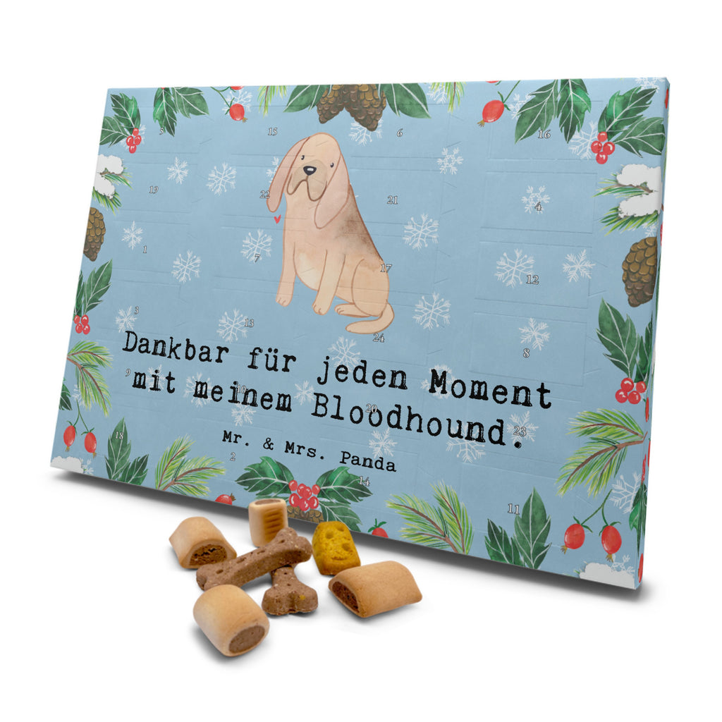 Hunde Adventskalender Bloodhound Moment Hunde Adventskalender, Weihnachtskalender, Kalender, Weihnachten, Adventskalender für Hunde, Hund, Hunderasse, Rassehund, Hundebesitzer, Geschenk, Tierfreund, Schenken, Welpe, Bluthund, Bloodhound, St. Hubertushund, Chien de Saint Hubert