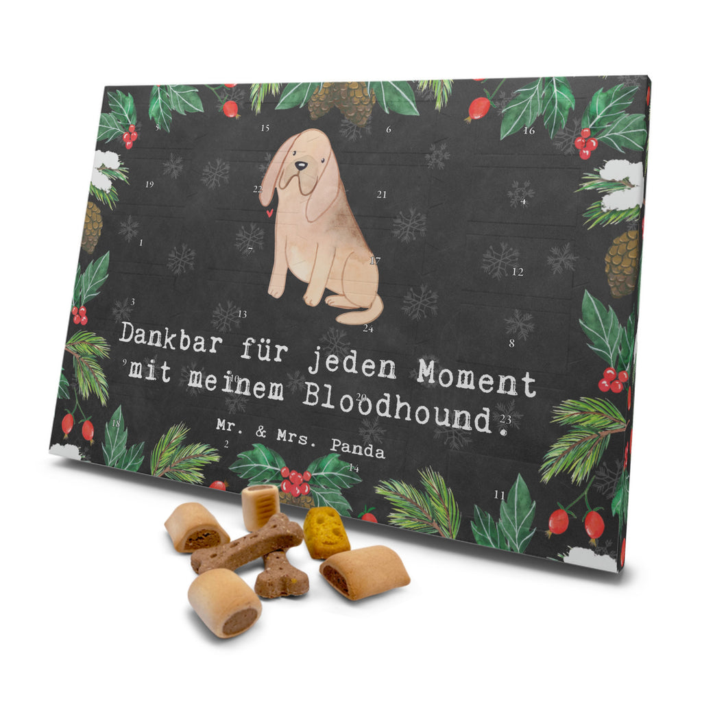 Hunde Adventskalender Bloodhound Moment Hunde Adventskalender, Weihnachtskalender, Kalender, Weihnachten, Adventskalender für Hunde, Hund, Hunderasse, Rassehund, Hundebesitzer, Geschenk, Tierfreund, Schenken, Welpe, Bluthund, Bloodhound, St. Hubertushund, Chien de Saint Hubert