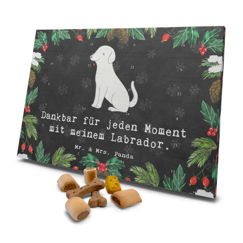 Hunde Adventskalender Labrador Moment Hunde Adventskalender, Weihnachtskalender, Kalender, Weihnachten, Adventskalender für Hunde, Hund, Hunderasse, Rassehund, Hundebesitzer, Geschenk, Tierfreund, Schenken, Welpe, Labrador