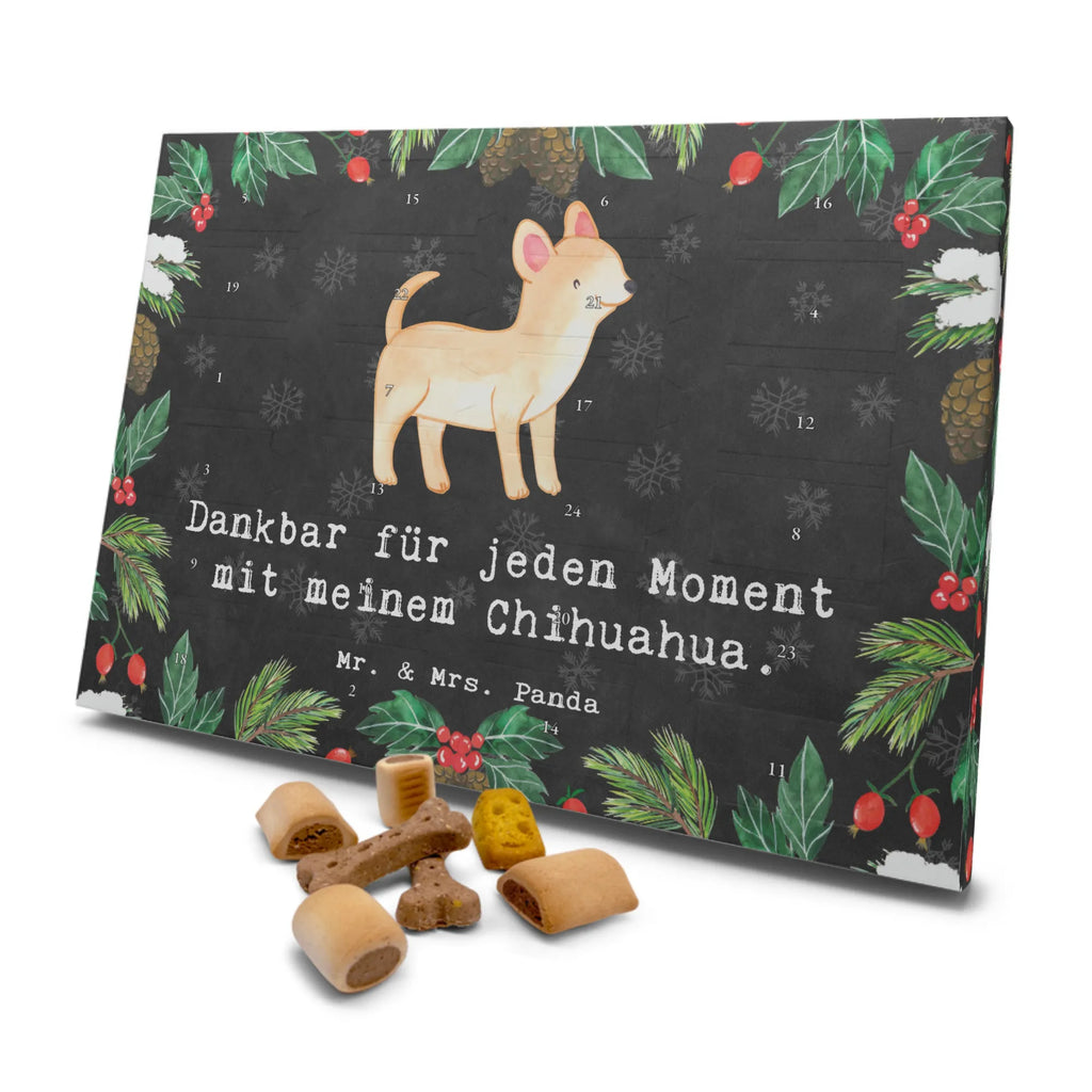 Hunde Adventskalender Chihuahua Moment Hunde Adventskalender, Weihnachtskalender, Kalender, Weihnachten, Adventskalender für Hunde, Hund, Hunderasse, Rassehund, Hundebesitzer, Geschenk, Tierfreund, Schenken, Welpe, Chihuahua