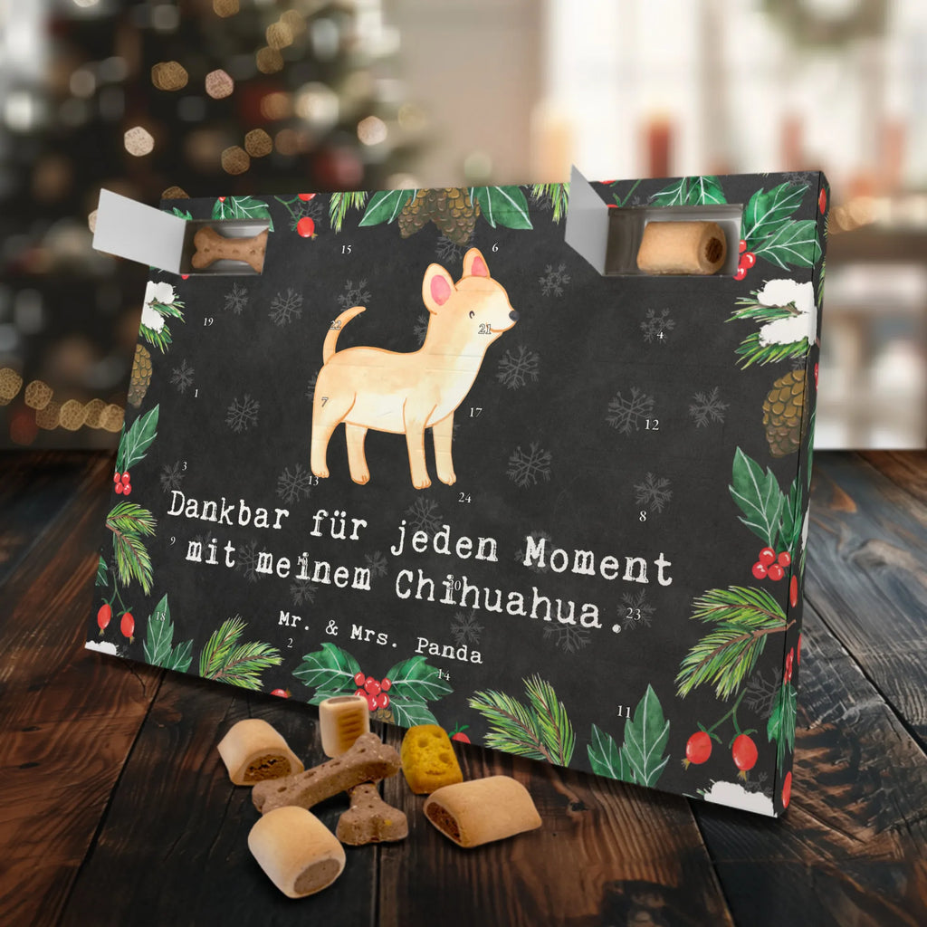 Hunde Adventskalender Chihuahua Moment Hunde Adventskalender, Weihnachtskalender, Kalender, Weihnachten, Adventskalender für Hunde, Hund, Hunderasse, Rassehund, Hundebesitzer, Geschenk, Tierfreund, Schenken, Welpe, Chihuahua