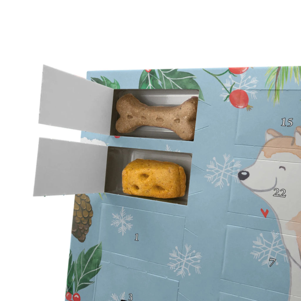 Hunde Adventskalender Akita Inu Moment Hunde Adventskalender, Weihnachtskalender, Kalender, Weihnachten, Adventskalender für Hunde, Hund, Hunderasse, Rassehund, Hundebesitzer, Geschenk, Tierfreund, Schenken, Welpe, Akita Ken, Japanischer Akita, Akita-Inu, Akita Inu