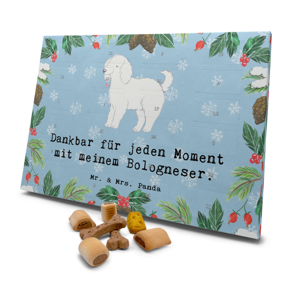 Hunde Adventskalender Bologneser Moment Hunde Adventskalender, Weihnachtskalender, Kalender, Weihnachten, Adventskalender für Hunde, Hund, Hunderasse, Rassehund, Hundebesitzer, Geschenk, Tierfreund, Schenken, Welpe, Bologneser