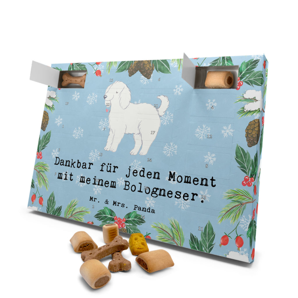 Hunde Adventskalender Bologneser Moment Hunde Adventskalender, Weihnachtskalender, Kalender, Weihnachten, Adventskalender für Hunde, Hund, Hunderasse, Rassehund, Hundebesitzer, Geschenk, Tierfreund, Schenken, Welpe, Bologneser