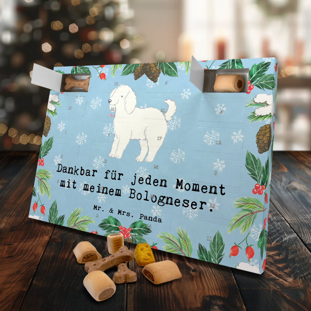 Hunde Adventskalender Bologneser Moment Hunde Adventskalender, Weihnachtskalender, Kalender, Weihnachten, Adventskalender für Hunde, Hund, Hunderasse, Rassehund, Hundebesitzer, Geschenk, Tierfreund, Schenken, Welpe, Bologneser