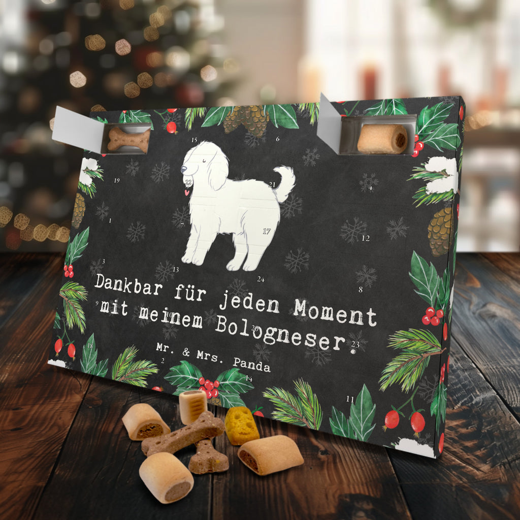 Hunde Adventskalender Bologneser Moment Hunde Adventskalender, Weihnachtskalender, Kalender, Weihnachten, Adventskalender für Hunde, Hund, Hunderasse, Rassehund, Hundebesitzer, Geschenk, Tierfreund, Schenken, Welpe, Bologneser