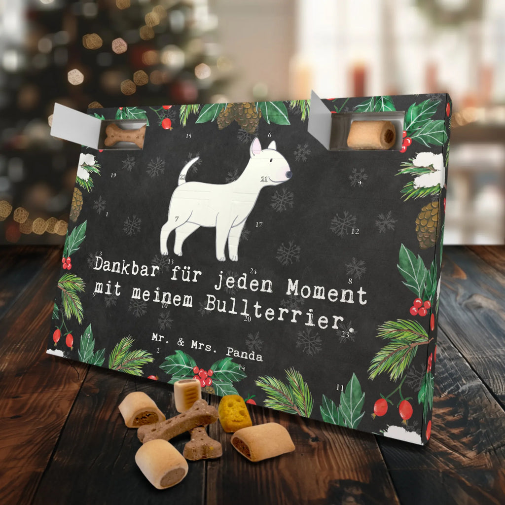 Hunde Adventskalender Bullterrier Moment Hunde Adventskalender, Weihnachtskalender, Kalender, Weihnachten, Adventskalender für Hunde, Hund, Hunderasse, Rassehund, Hundebesitzer, Geschenk, Tierfreund, Schenken, Welpe, Bullterrier