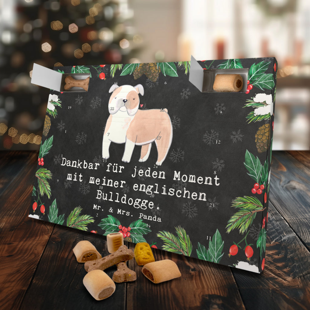 Hunde Adventskalender Englische Bulldogge Moment Hunde Adventskalender, Weihnachtskalender, Kalender, Weihnachten, Adventskalender für Hunde, Hund, Hunderasse, Rassehund, Hundebesitzer, Geschenk, Tierfreund, Schenken, Welpe, Englische Bulldogge, English Bulldog