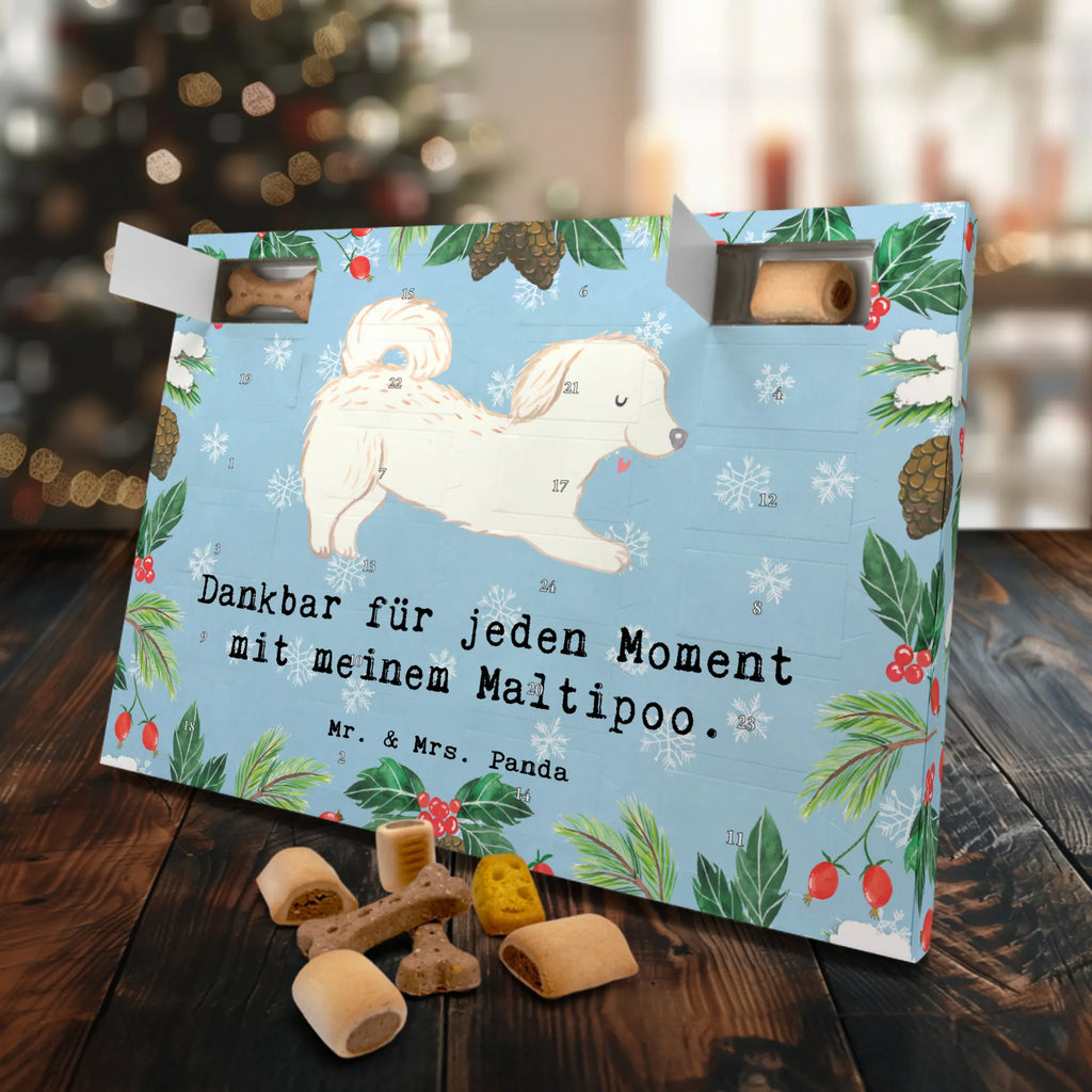 Hunde Adventskalender Maltipoo Moment Hunde Adventskalender, Weihnachtskalender, Kalender, Weihnachten, Adventskalender für Hunde, Hund, Hunderasse, Rassehund, Hundebesitzer, Geschenk, Tierfreund, Schenken, Welpe, Maltipoo, Kreuzung, Mischling