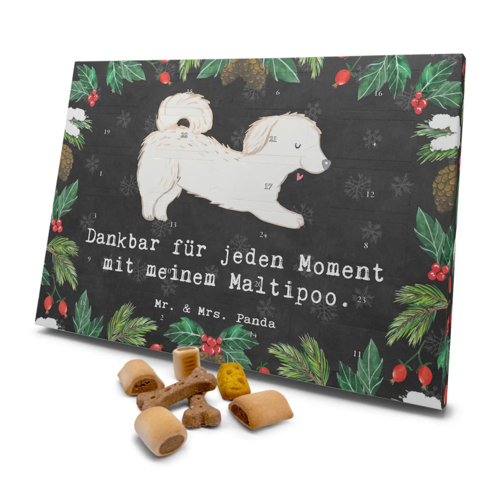 Hunde Adventskalender Maltipoo Moment Hunde Adventskalender, Weihnachtskalender, Kalender, Weihnachten, Adventskalender für Hunde, Hund, Hunderasse, Rassehund, Hundebesitzer, Geschenk, Tierfreund, Schenken, Welpe, Maltipoo, Kreuzung, Mischling