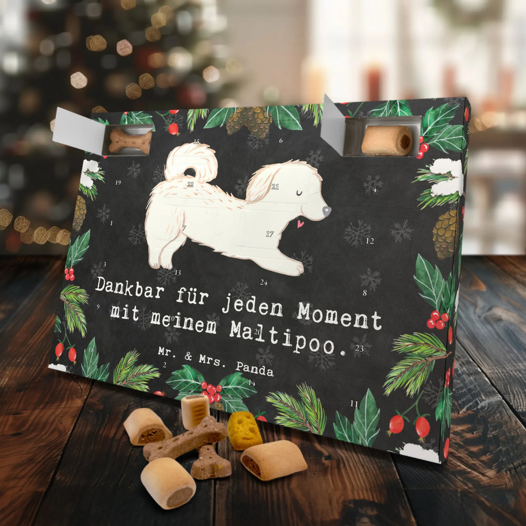 Hunde Adventskalender Maltipoo Moment Hunde Adventskalender, Weihnachtskalender, Kalender, Weihnachten, Adventskalender für Hunde, Hund, Hunderasse, Rassehund, Hundebesitzer, Geschenk, Tierfreund, Schenken, Welpe, Maltipoo, Kreuzung, Mischling