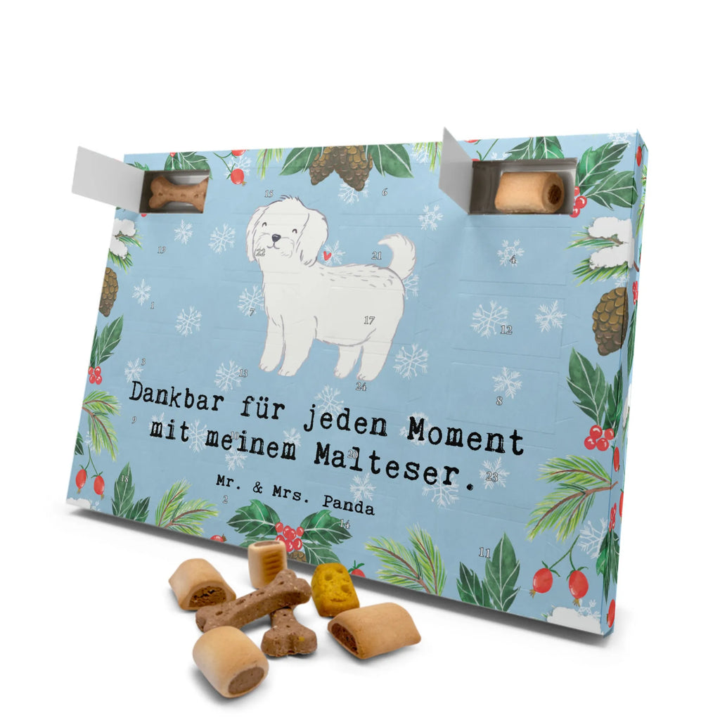 Hunde Adventskalender Malteser Moment Hunde Adventskalender, Weihnachtskalender, Kalender, Weihnachten, Adventskalender für Hunde, Hund, Hunderasse, Rassehund, Hundebesitzer, Geschenk, Tierfreund, Schenken, Welpe, Malteser