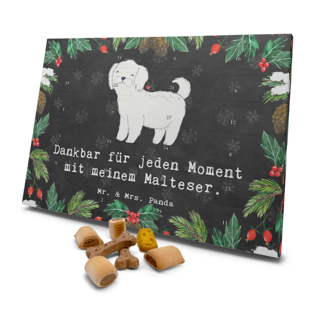 Hunde Adventskalender Malteser Moment Hunde Adventskalender, Weihnachtskalender, Kalender, Weihnachten, Adventskalender für Hunde, Hund, Hunderasse, Rassehund, Hundebesitzer, Geschenk, Tierfreund, Schenken, Welpe, Malteser