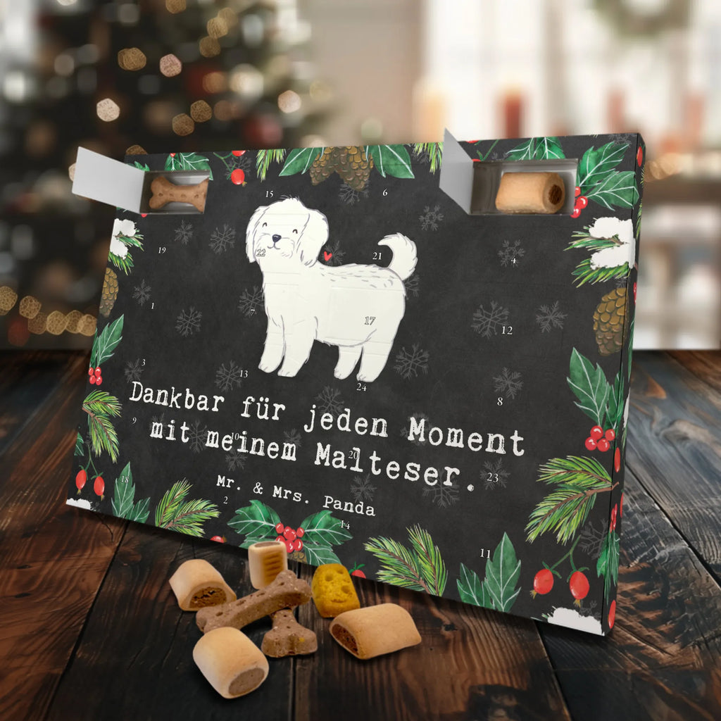 Hunde Adventskalender Malteser Moment Hunde Adventskalender, Weihnachtskalender, Kalender, Weihnachten, Adventskalender für Hunde, Hund, Hunderasse, Rassehund, Hundebesitzer, Geschenk, Tierfreund, Schenken, Welpe, Malteser