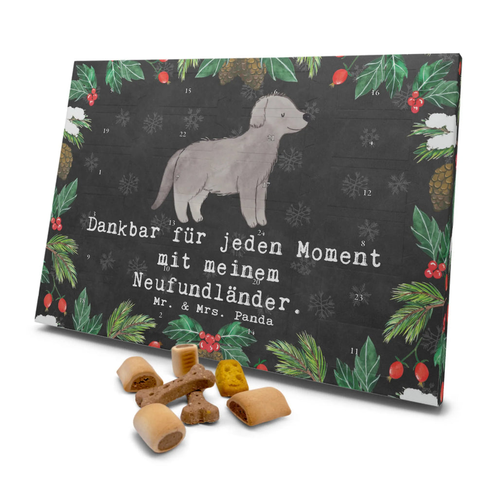 Hunde Adventskalender Neufundländer Moment Hunde Adventskalender, Weihnachtskalender, Kalender, Weihnachten, Adventskalender für Hunde, Hund, Hunderasse, Rassehund, Hundebesitzer, Geschenk, Tierfreund, Schenken, Welpe, Neufundländer, Newfoundland