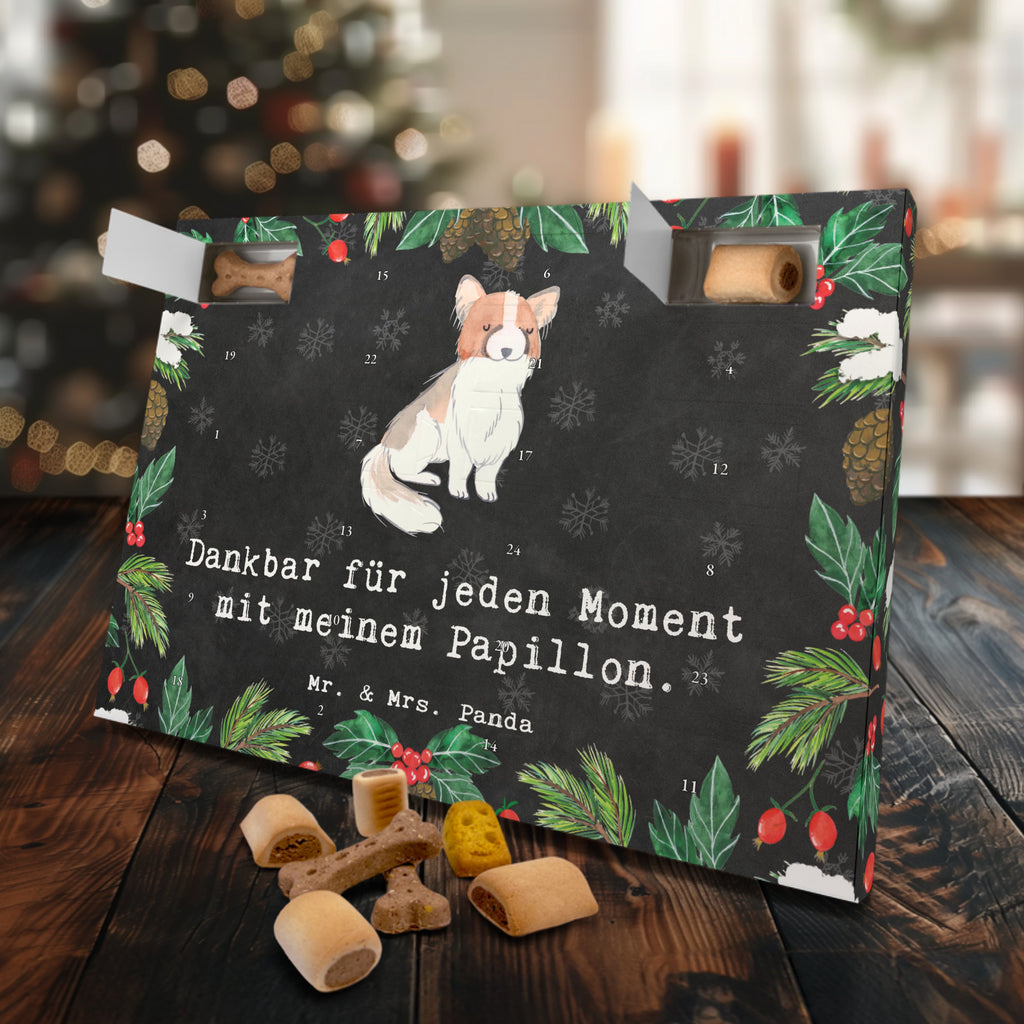 Hunde Adventskalender Papillon Moment Hunde Adventskalender, Weihnachtskalender, Kalender, Weihnachten, Adventskalender für Hunde, Hund, Hunderasse, Rassehund, Hundebesitzer, Geschenk, Tierfreund, Schenken, Welpe, Kontinentaler Zwergspaniel, Papillon