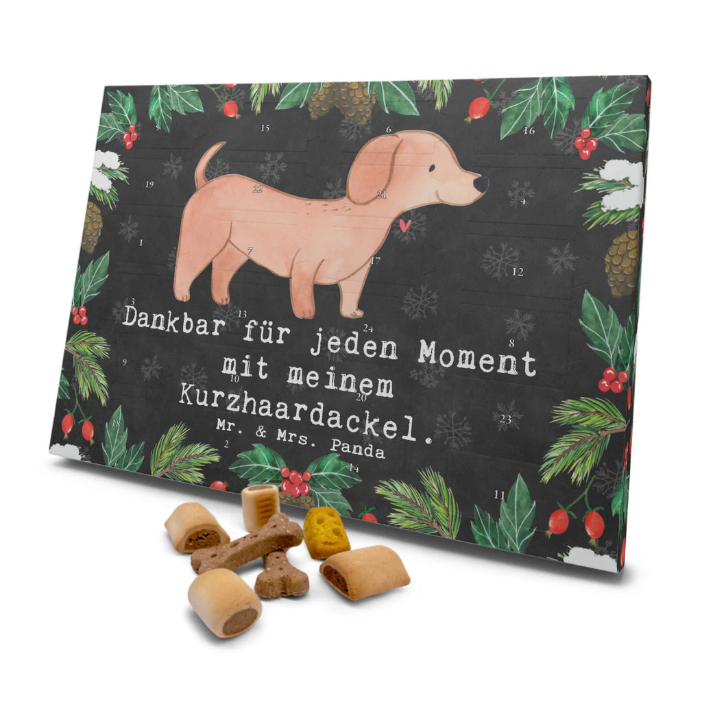 Hunde Adventskalender Dackel Kurzhaardackel Moment Hunde Adventskalender, Weihnachtskalender, Kalender, Weihnachten, Adventskalender für Hunde, Hund, Hunderasse, Rassehund, Hundebesitzer, Geschenk, Tierfreund, Schenken, Welpe, Teckel, Dachshund, Kurzhaardackel