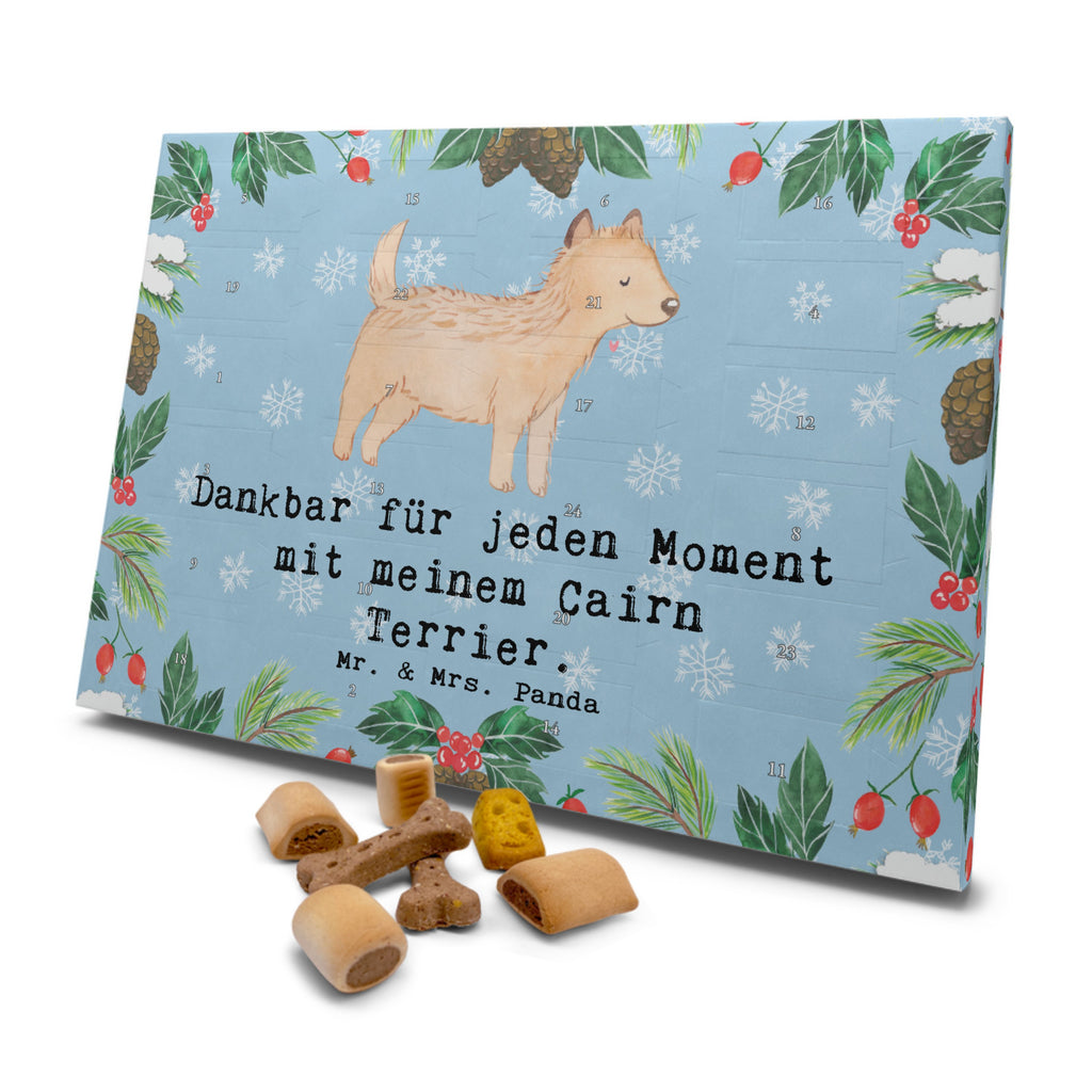 Hunde Adventskalender Cairn Terrier Moment Hunde Adventskalender, Weihnachtskalender, Kalender, Weihnachten, Adventskalender für Hunde, Hund, Hunderasse, Rassehund, Hundebesitzer, Geschenk, Tierfreund, Schenken, Welpe, Cairn Terrier