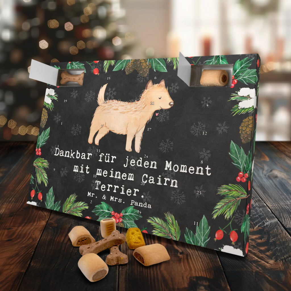 Hunde Adventskalender Cairn Terrier Moment Hunde Adventskalender, Weihnachtskalender, Kalender, Weihnachten, Adventskalender für Hunde, Hund, Hunderasse, Rassehund, Hundebesitzer, Geschenk, Tierfreund, Schenken, Welpe, Cairn Terrier