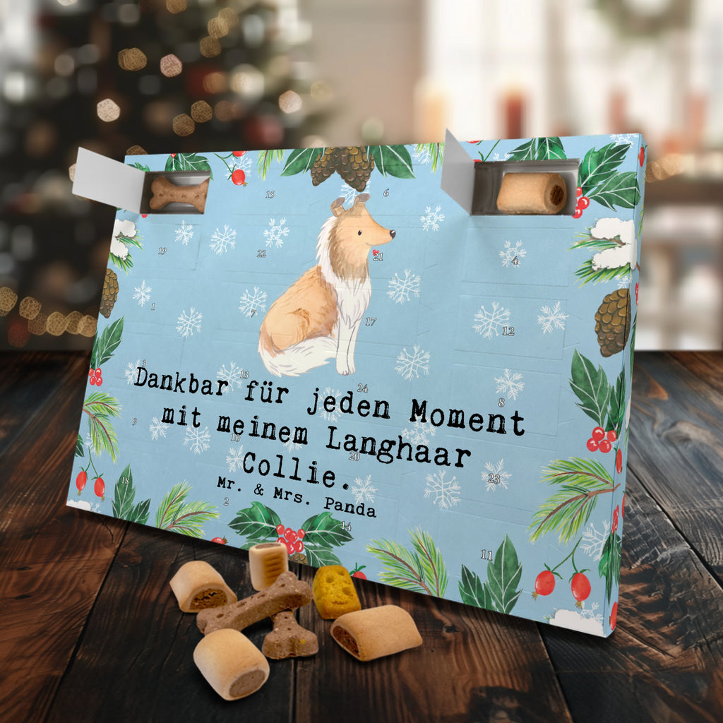 Hunde Adventskalender Langhaar Collie Moment Hunde Adventskalender, Weihnachtskalender, Kalender, Weihnachten, Adventskalender für Hunde, Hund, Hunderasse, Rassehund, Hundebesitzer, Geschenk, Tierfreund, Schenken, Welpe, Langhaar Collie, britischer Hütehund