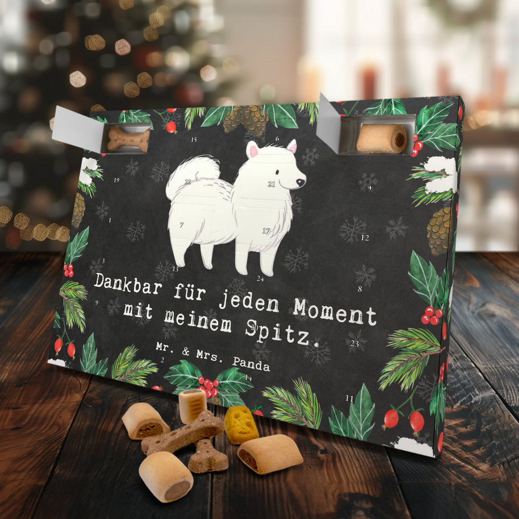 Hunde Adventskalender Spitz Moment Hunde Adventskalender, Weihnachtskalender, Kalender, Weihnachten, Adventskalender für Hunde, Hund, Hunderasse, Rassehund, Hundebesitzer, Geschenk, Tierfreund, Schenken, Welpe, Spitz