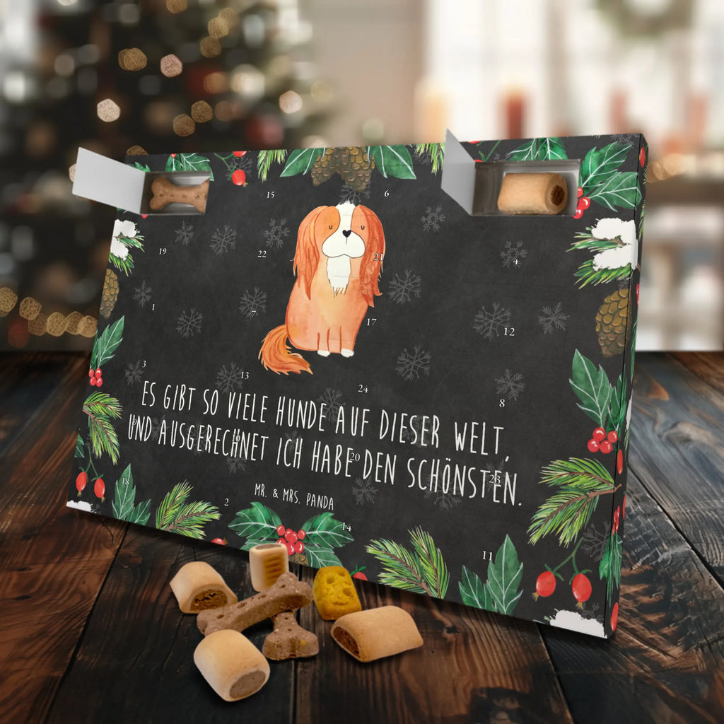 Hunde Adventskalender Hund Cavalier King Charles Spaniel Hunde Adventskalender, Weihnachtskalender, Kalender, Weihnachten, Adventskalender für Hunde, Hund, Hundemotiv, Haustier, Hunderasse, Tierliebhaber, Hundebesitzer, Sprüche, Cavalier King Charles Spaniel, Cockerspaniel, Spaniel, Spruch, schönster Hund