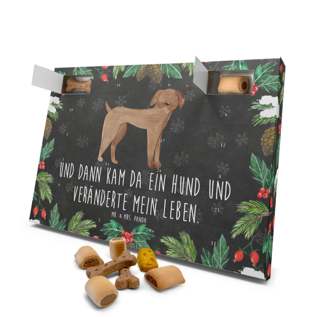 Hunde Adventskalender Hund Dogge Hunde Adventskalender, Weihnachtskalender, Kalender, Weihnachten, Adventskalender für Hunde, Hund, Hundemotiv, Haustier, Hunderasse, Tierliebhaber, Hundebesitzer, Sprüche, Hunde, Dogge, Deutsche Dogge, Great Dane