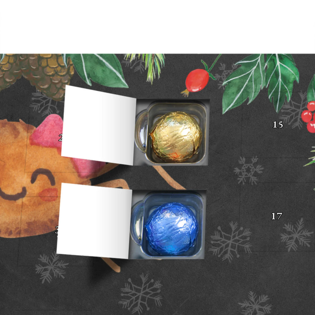 Schoko Adventskalender Spinne Agathe Freude Adventskalender, Schokoladen Adventskalender, Schoko Adventskalender, Spinne Agathe, Spinne, Agathe, Videos, Merchandise, Viral, Viraler Hit, Trend, Beliebte Spinne