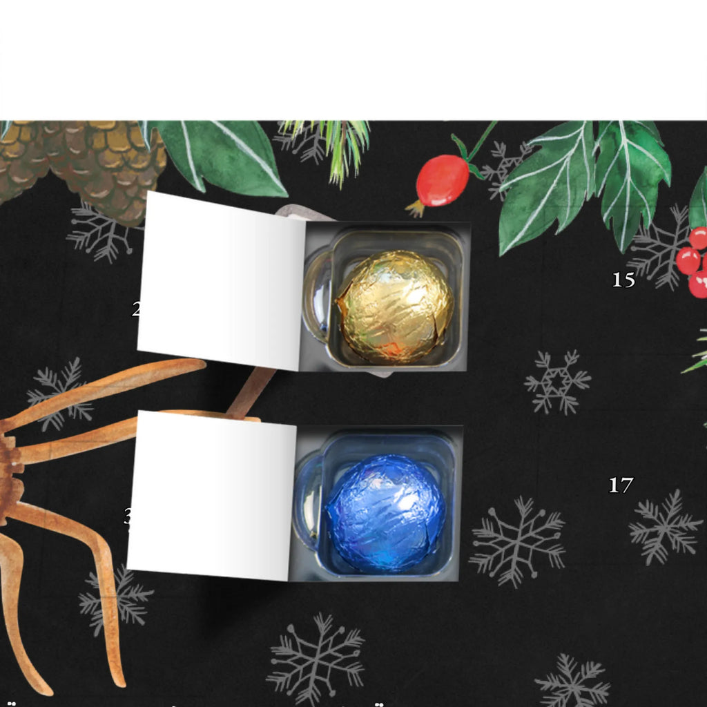 Schoko Adventskalender Spinne Agathe Motivation Adventskalender, Schokoladen Adventskalender, Schoko Adventskalender, Spinne Agathe, Spinne, Agathe, Videos, Merchandise, Motivation, Glück, Liebe, Vertrauen, Dankeschön